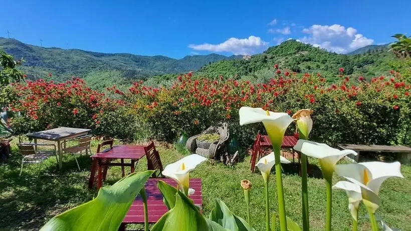 B&b L  Antica Macina