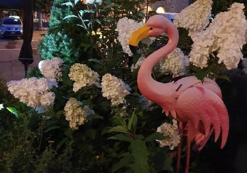 ホテル Boutique Hôtel Chez Jan