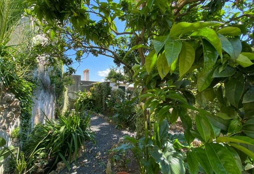 ペンション Casa Do Toupeiro