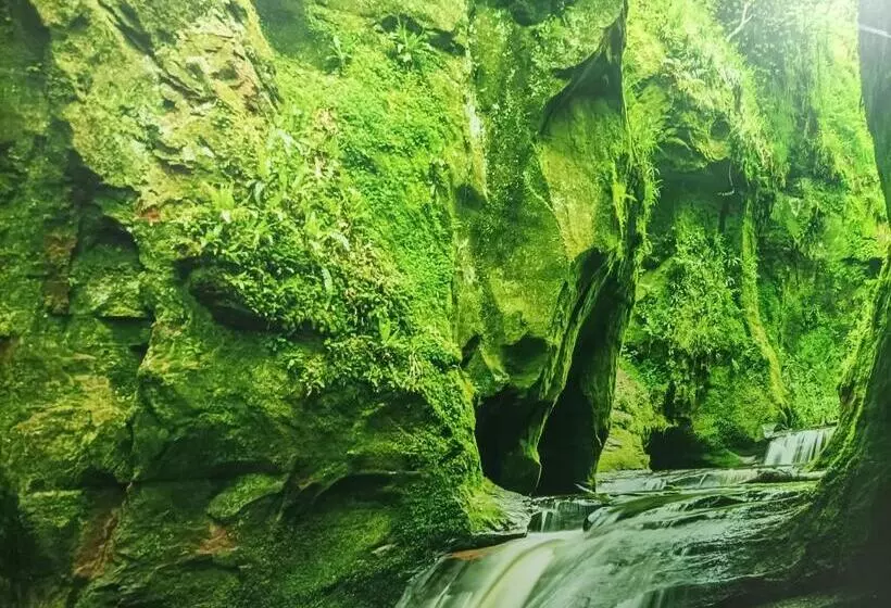 پانسیون Hostal El Bosque Encantado Toledo