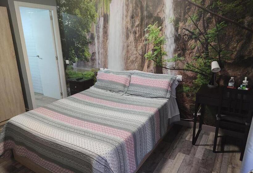 膳宿费 Hostal El Bosque Encantado Toledo