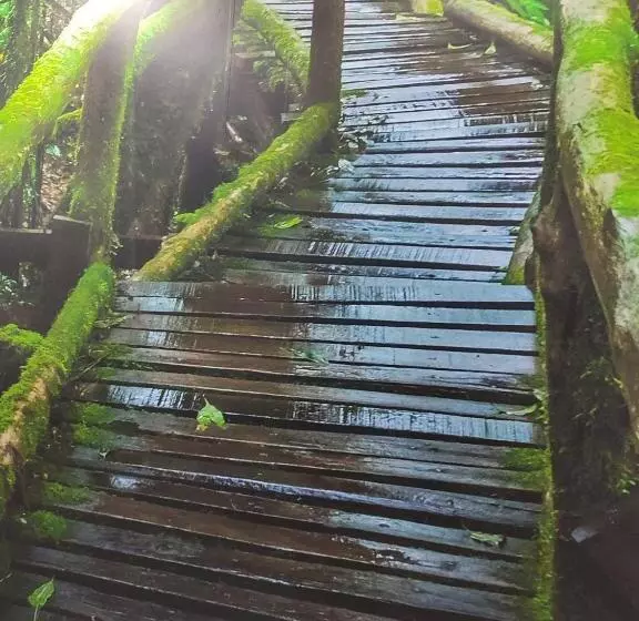 پانسیون Hostal El Bosque Encantado Toledo