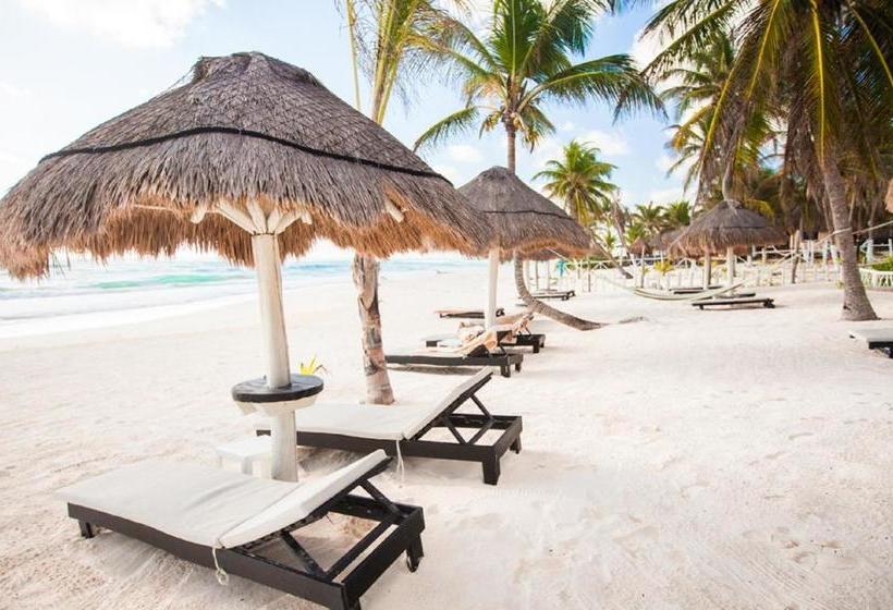 בית מלון כפרי Kilua Beach Resort