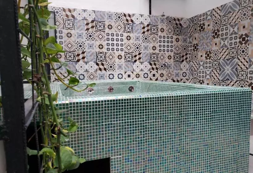 ペンション Aima Ibagué