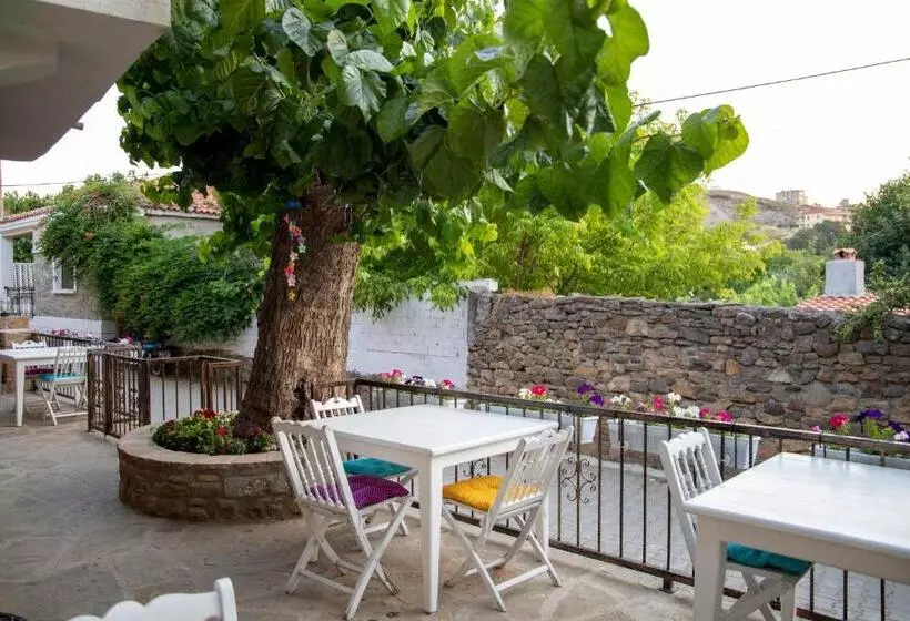 تختخواب و صبحانه Paparuna Butik