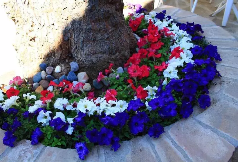 تختخواب و صبحانه Paparuna Butik