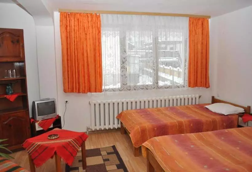 هتل Alpin   91 Bansko