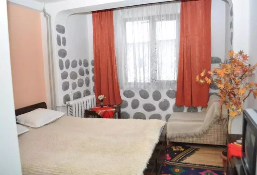 هتل Alpin   91 Bansko