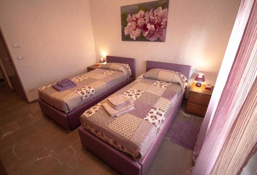 بنسيون Bed Adelaide