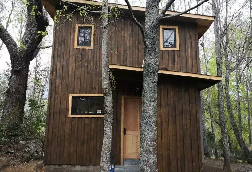 پانسیون Loft Canelo   Con Hot Tub Exclusivo, Cercano A Termas Y Lago
