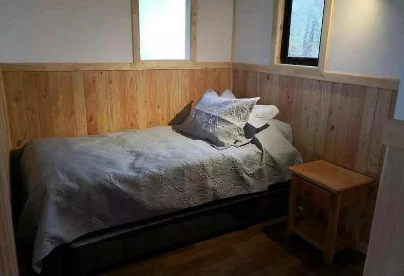 پانسیون Loft Canelo   Con Hot Tub Exclusivo, Cercano A Termas Y Lago