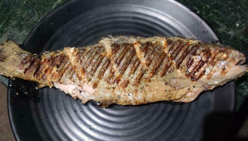 פנסיון Parvati Tales