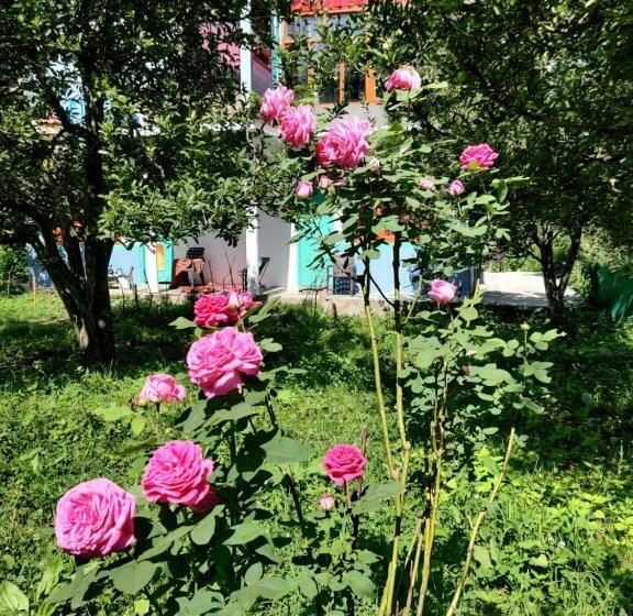 פנסיון Parvati Tales