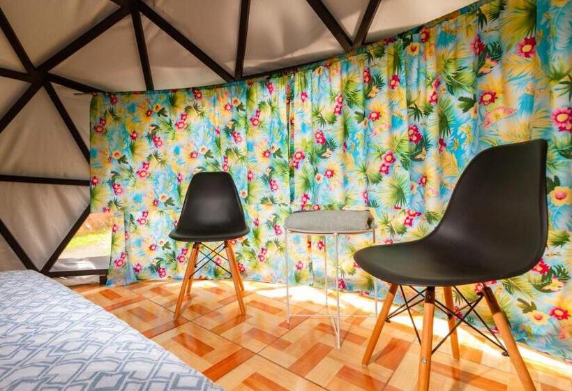 Bed and Breakfast Boruka Bnb