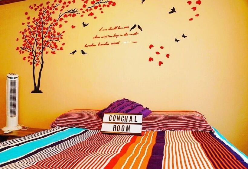 Bed and Breakfast Boruka Bnb