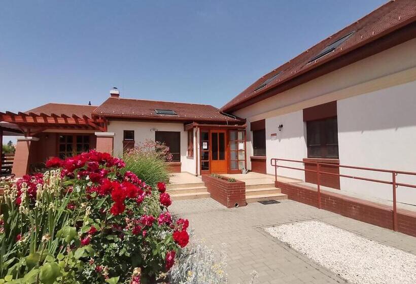 ベッドアンドブレックファースト Kamilla Panzió és Rendezvényház