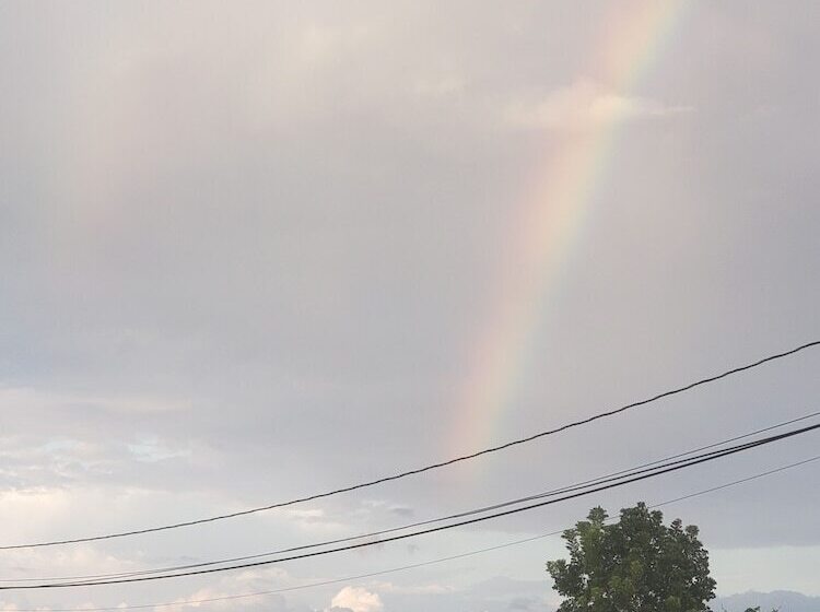 Gm Suites Bed & Breakfast