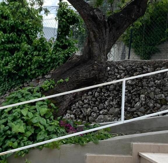 בית מלון כפרי Albergo Pensione Bianco