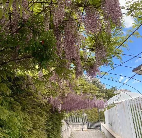 Hotelli Albergo Pensione Bianco