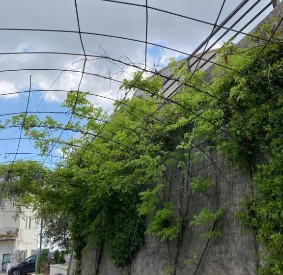 Hotelli Albergo Pensione Bianco