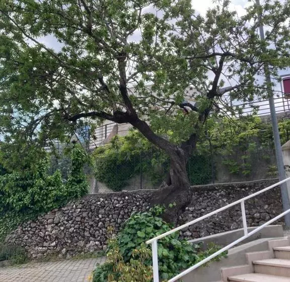 Hotelli Albergo Pensione Bianco