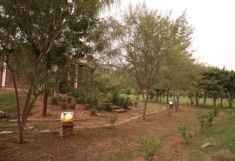 リゾートホテル Brigadier S Plantation Retreat