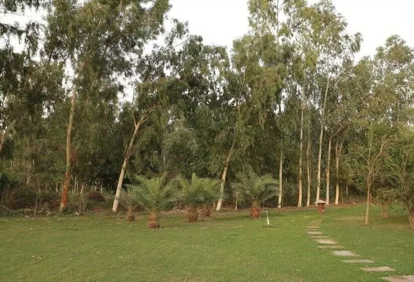 リゾートホテル Brigadier S Plantation Retreat