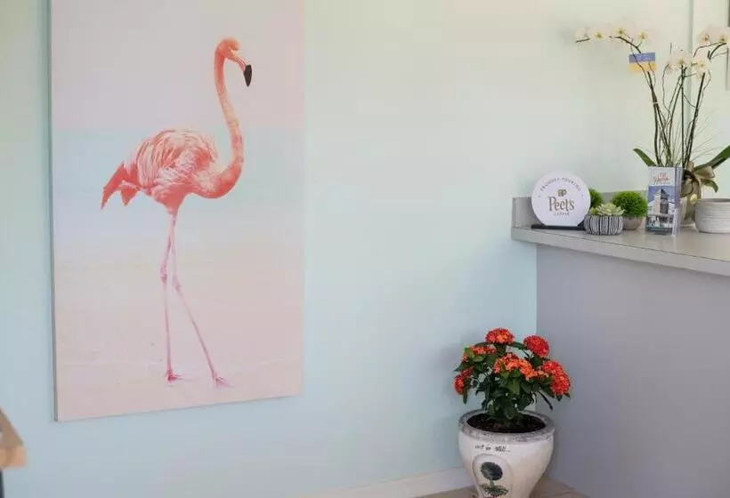 Retkeilymaja The Islander Inn