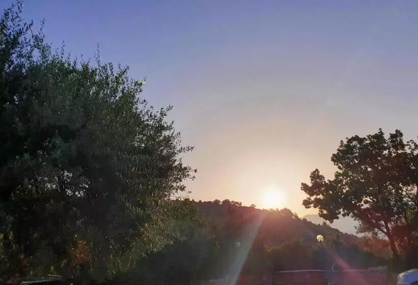 ホテル Colle Del Mirto