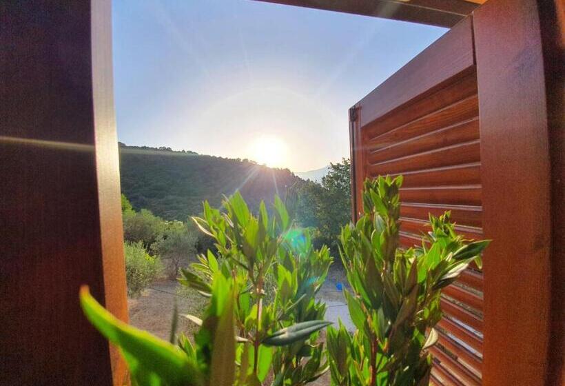 Отель Colle Del Mirto