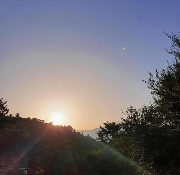 Отель Colle Del Mirto