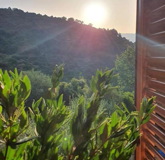 Отель Colle Del Mirto