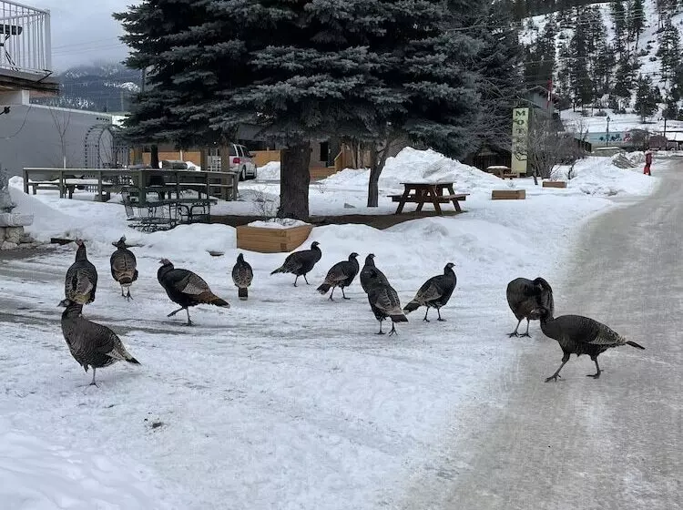 Hotelli Destination Inn