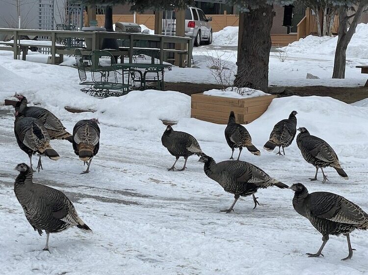 هتل Destination Inn