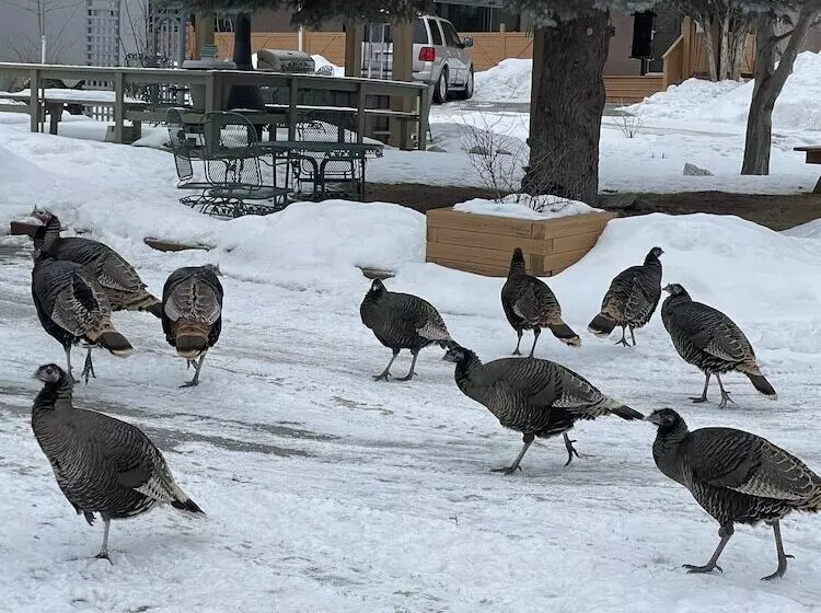 Hotelli Destination Inn