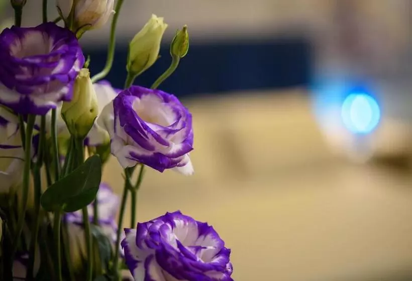 پانسیون Celso 14