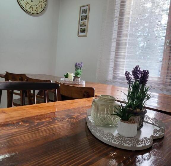 הוסטל Bus Station Beds