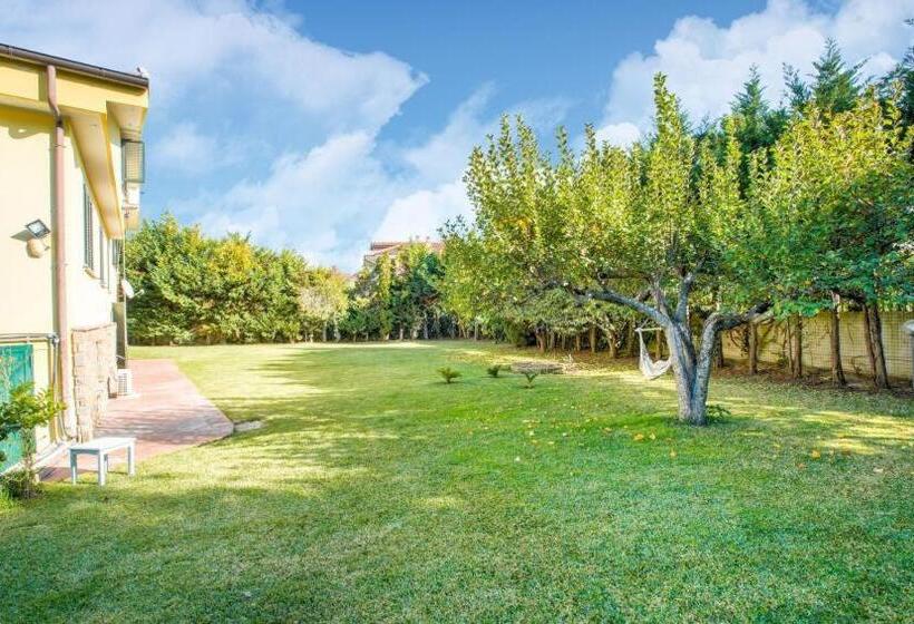 민박 Musae Apartments