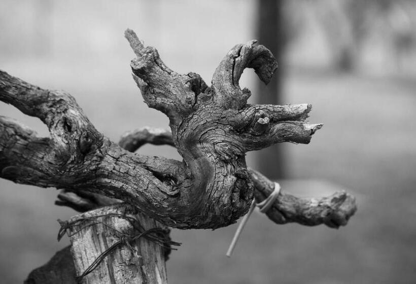 Bed and Breakfast Rara Factory Design House