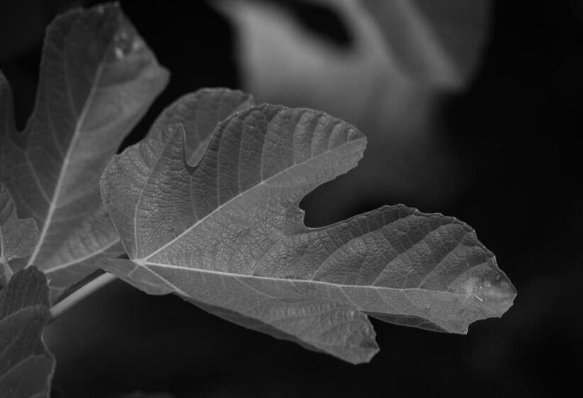 Bed and Breakfast Rara Factory Design House