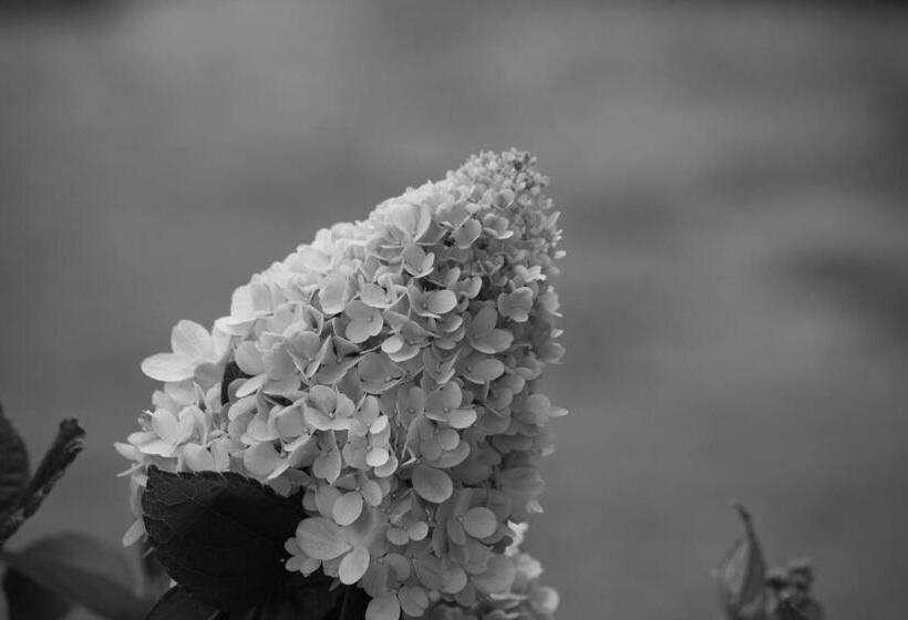 Bed and Breakfast Rara Factory Design House