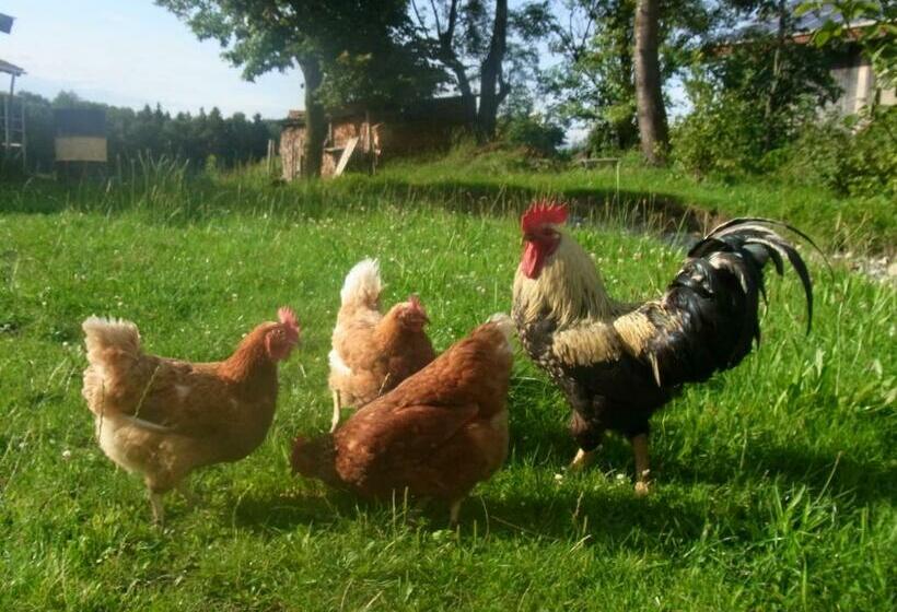 Отель Ferienwohnung Bauernhaus Kailhof