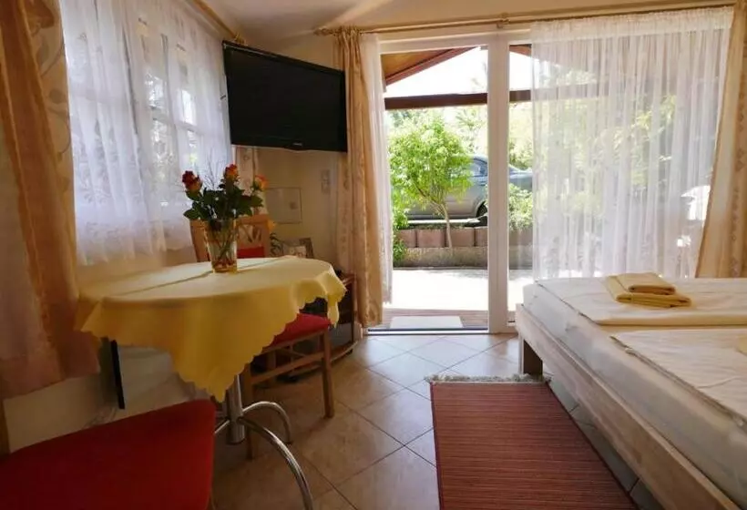 هتل Pension Mittag