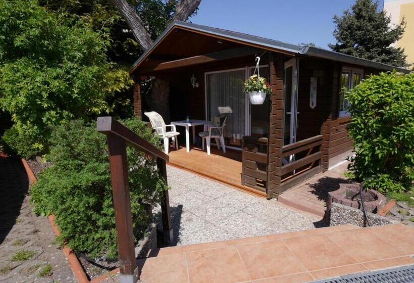 هتل Pension Mittag