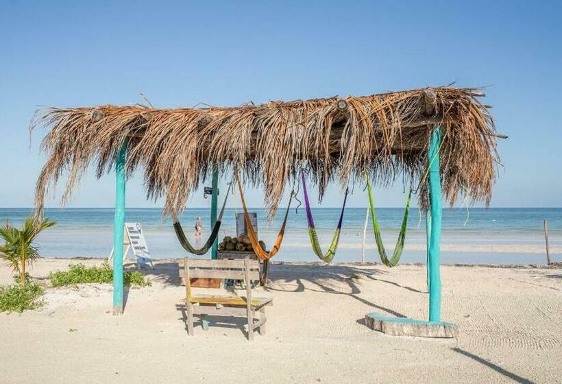 Panzió Lifestyle Kb Holbox