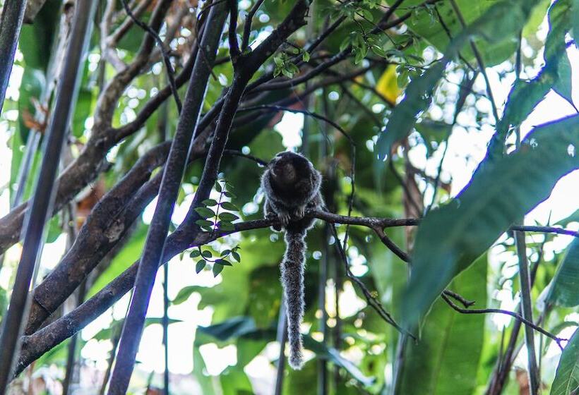 پانسیون Pousada Dona Geni