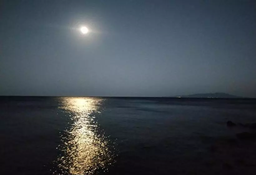 旅館 Izu Shirada Villa 伊豆白田家