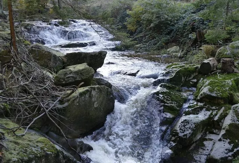 Altstadthotel Ilsenburg