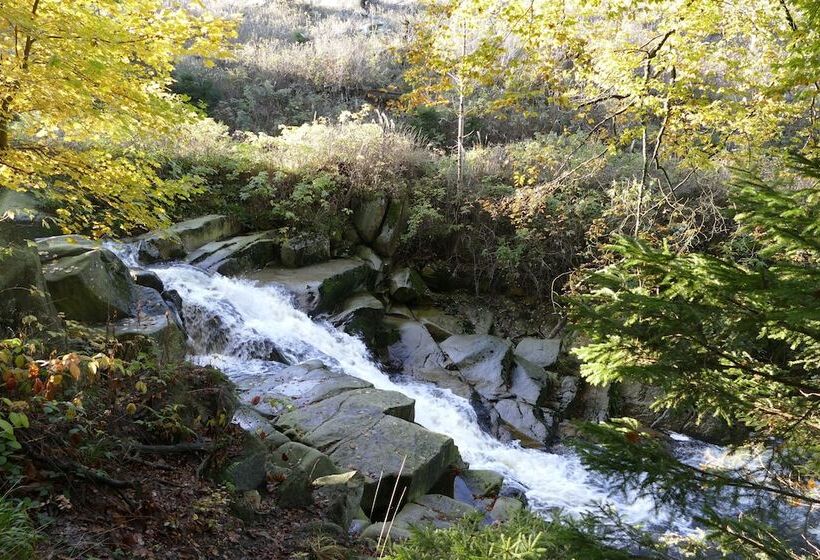 Altstadthotel Ilsenburg
