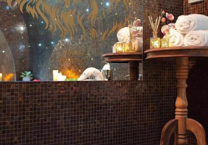 Hôtel Hôtel Da Vinci & Spa